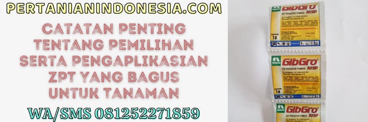 aplikasi,pengaplikasian,zat pengatur tumbuh,tanaman,catatan penting